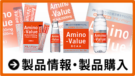 製品情報（SP）